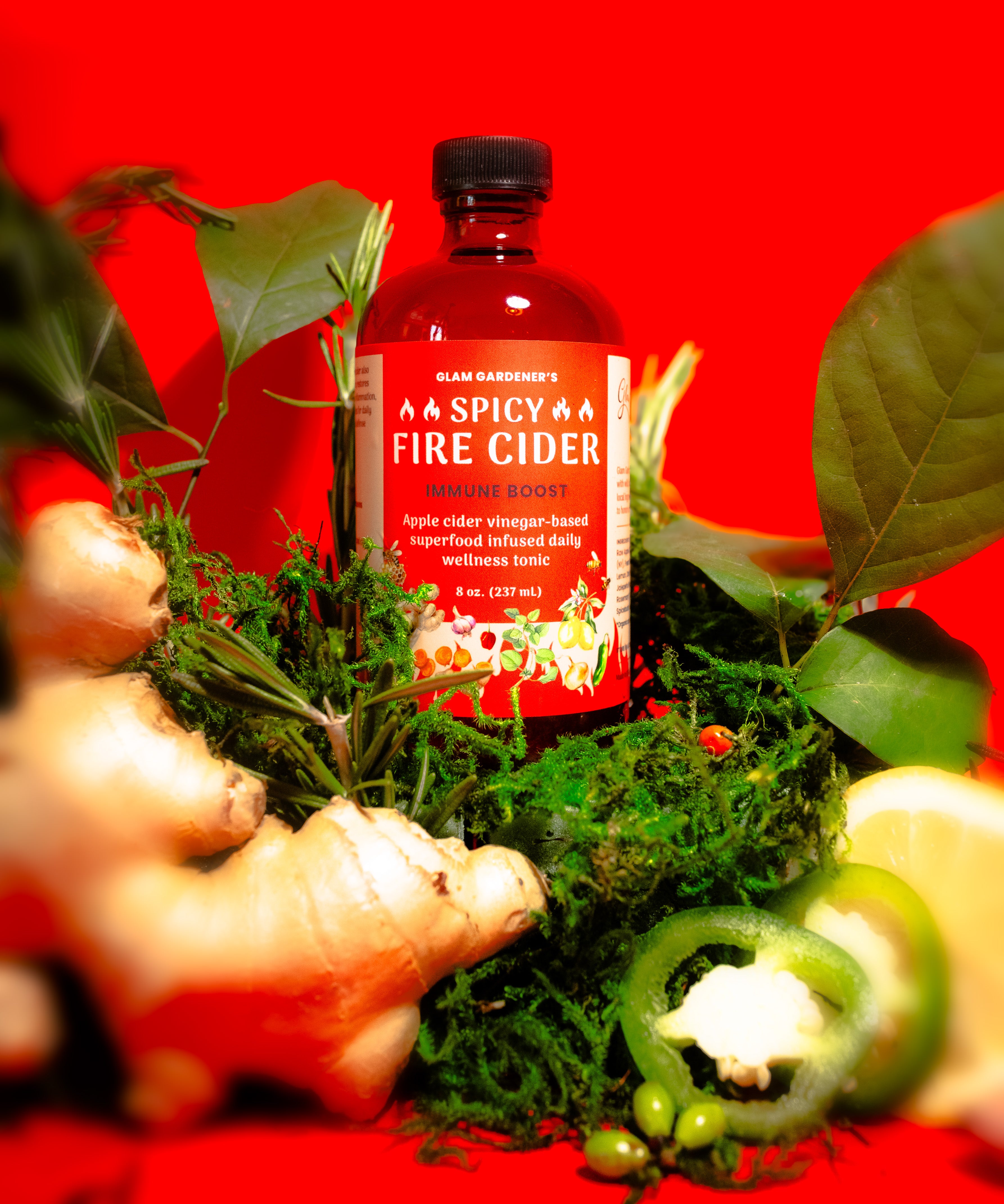Chilli Cider Spicy Fire Cider - Superfood infused daily wellness tonic with local h ...