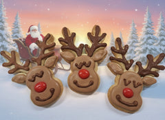 Handcrafted Reindeer Sugar Cookies